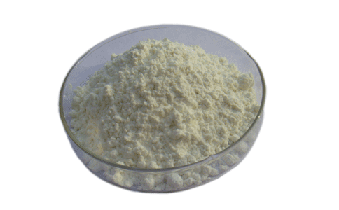 新澳门网站